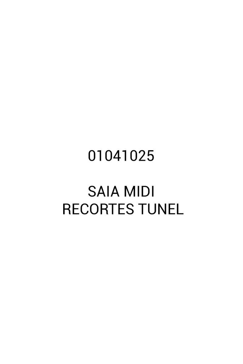 01041025_0260_1-SAIA-MIDI-RECORTES-TUNEL
