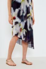 01043893_8147_2-SAIA-TULE-EST-HIBI